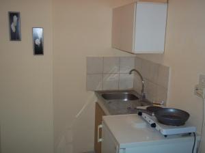 Kuchyň nebo kuchyňský kout v ubytování En Leuko Apartments