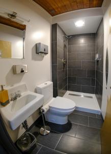 a bathroom with a toilet and a sink and a shower at Seward Adventure Lodge in Seward