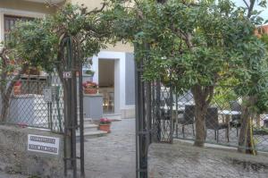Сад в Rione San Carlo
