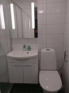 ein Badezimmer mit einem WC, einem Waschbecken und einem Spiegel in der Unterkunft Peltolan Luomutila in Vilppula