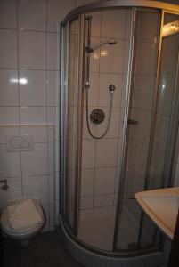 uma casa de banho com um chuveiro, um WC e um lavatório. em Gasthof Kaiserblick em Breitenbach am Inn