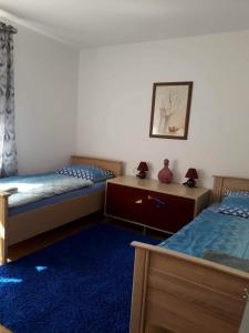 sypialnia z 2 łóżkami i niebieskim dywanem w obiekcie U Danusi we Wrocławiu