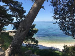 Fotografia z galérie ubytovania Tinel Split v Splite