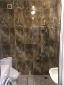 a bathroom with a shower with a toilet and a sink at Gorgasali street Apartment in Batumi +8 photos
