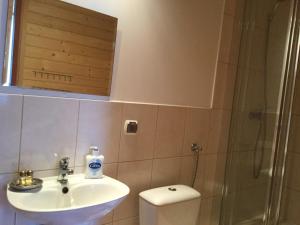 a bathroom with a toilet and a sink and a shower at Domek Wakacyjny in Mikołajki +13 photos