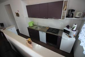 Kuchyň nebo kuchyňský kout v ubytování Apartmani Irena