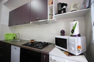 Kuchyň nebo kuchyňský kout v ubytování Apartmani Irena