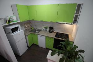 Kuchyň nebo kuchyňský kout v ubytování Apartmani Irena