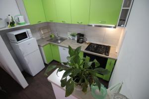 Kuchyň nebo kuchyňský kout v ubytování Apartmani Irena