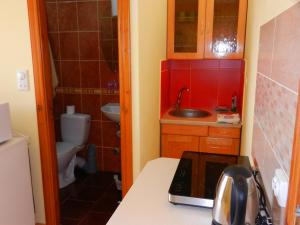 een kleine keuken met een wastafel en een toilet bij Guest house Villa Leonardo in Herceg-Novi