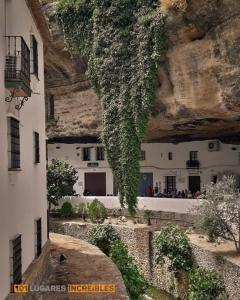 un bâtiment avec du lierre sur son côté dans l'établissement La Casa Del Rio, à Setenil de las Bodegas