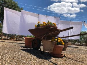 A garden outside Masseria Paglieroni