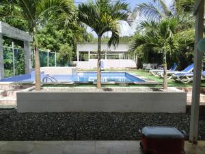 une piscine avec deux palmiers et une valise dans l'établissement Casa Loft, à San Andrés