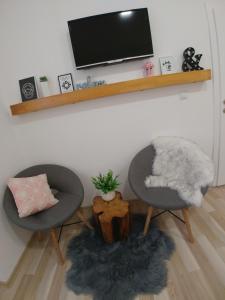 ein Wohnzimmer mit 2 Stühlen und einem Flachbild-TV in der Unterkunft Apartments Sari in Sarajevo