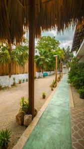 Zahrada ubytování Hotel el Manglar