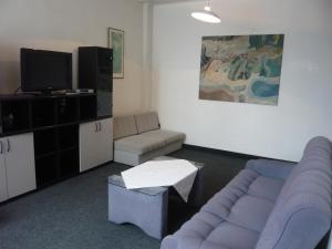 Televízia a/alebo spoločenská miestnosť v ubytovaní Hotel Hasa