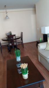 a living room with a table with two plants on it at Departamento Amueblado in Antofagasta