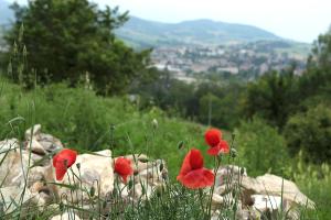Fotografie z fotogalerie ubytování LA MAESTA' v destinaci Langhirano