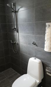 a bathroom with a white toilet and a shower at Coffeecamp-Kovilj in Kovilj