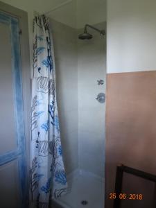 ein Bad mit einer Dusche mit einem blauen und weißen Duschvorhang in der Unterkunft BED & BLU in Savona