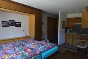 1 dormitorio con 1 cama y cocina en Casa La Foppa 28, en Sedrun
