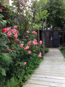 a garden with pink roses and a wooden walkway at 5 rue de la Corderie in Granville