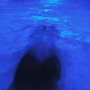 a polar bear in the middle of a pool of water at Hotel Formula & Puravita SPA in Rosolina
