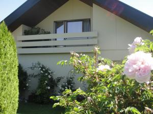 Zahrada ubytování Charming and cosy apartment near Lucerne + 13 fotografií