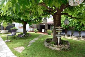 a tree in a yard with chairs and a bench at Hôtel La Villa Cannes in Cannes