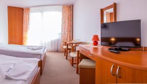 TV a/nebo společenská místnost v ubytování Hotel SOREA HUTNÍK I.