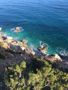 Gallery image of Sandalia B&B in Lotzorai +35 photos