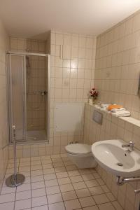 a bathroom with a toilet and a shower and a sink at Goldener Löwe Triebes in Triebes
