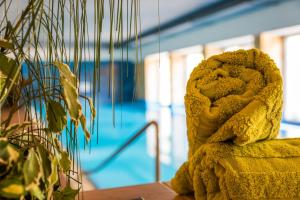 The swimming pool at or close to MOOKI Mountain & Pool Gerlitzen Apartment