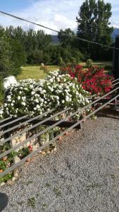 un jardín de flores con flores blancas y rojas en Mas Mallol en Puigcerdá