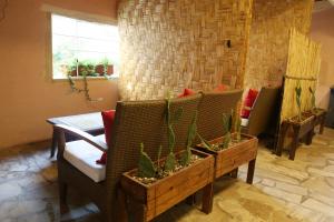 een woonkamer met stoelen en potplanten bij Byblos Fishing Club Guesthouse in Jbeil