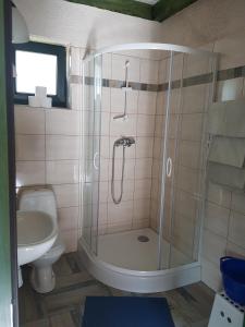 a bathroom with a shower and a toilet and a sink at Bungalowy MARINA GREEN in Jarosławiec