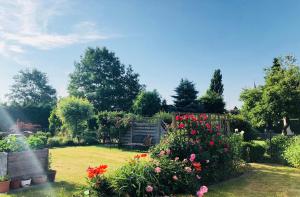 a garden with flowers and a bench in the grass at Ruhige 1 Zimmerwohnung Souterrain in Bortfeld