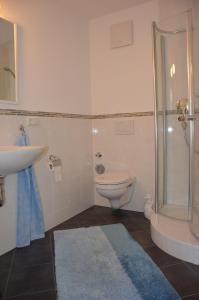 a bathroom with a shower and a toilet and a sink at Moni's Ferienwohnung in Bad Bertrich