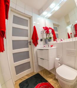 a bathroom with a toilet and a mirror at Luksusowy Apartament Bon Appetit -Centrum-Krupówki-Zakopane in Zakopane