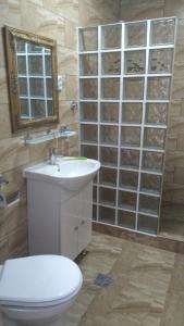 コスティネシュティにあるCasa Lotusのバスルーム(トイレ、洗面台、鏡付)