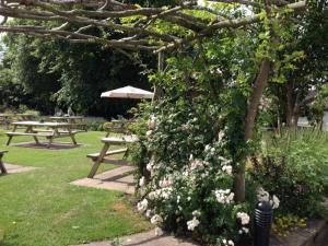 un arbusto con flores en un parque con mesas de picnic en The Swan Inn en Nantwich