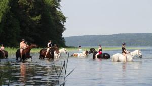 Afbeelding uit fotogalerij van Landhof zur Meierei in Penzlin