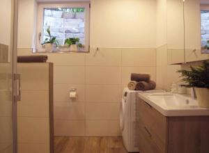 a small kitchen with a sink and a window at Ferienwohnung am Woid in Waldkirchen