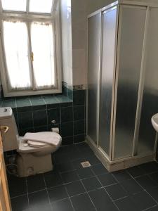 a bathroom with a shower and a toilet and a sink at Antik Ridvan Hotel in Çeşme