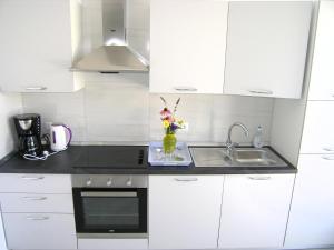 Kuchyňa alebo kuchynka v ubytovaní Apartman Danijel