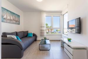 TV a/nebo společenská místnost v ubytování Apartments Villa 19