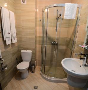a bathroom with a shower and a toilet and a sink at Hotel Alegra in Velingrad