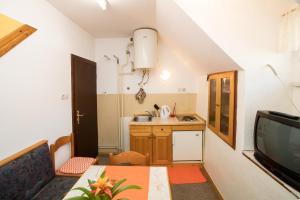 Kuchyň nebo kuchyňský kout v ubytování Apartments and Rooms Ražen