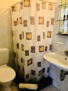a bathroom with a toilet and a sink and a shower curtain at Contaratos Holiday Lettings in Kýthira