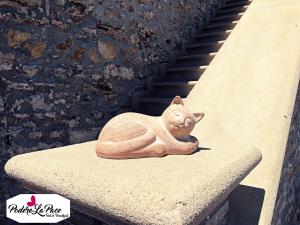 Fotografie z fotogalerie ubytování Podere La Pace v destinaci Vada